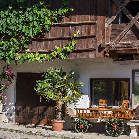 Вилла Bio Turisticna Kmetija Frcej-Zupan Блед Экстерьер фото