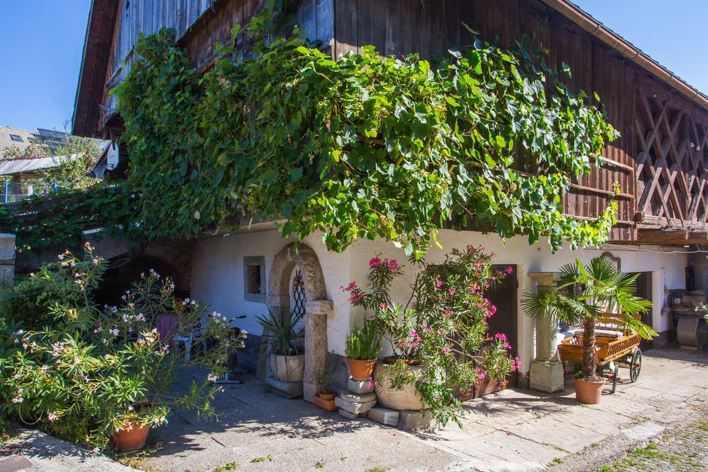 Вилла Bio Turisticna Kmetija Frcej-Zupan Блед Экстерьер фото